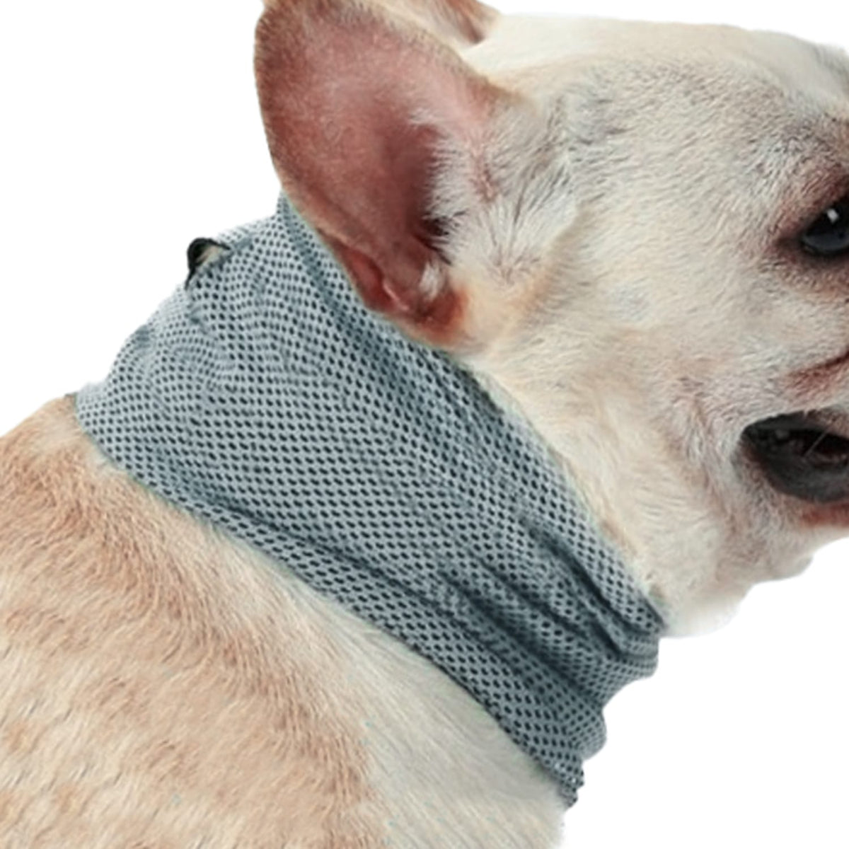 Pets Cooling Bandana